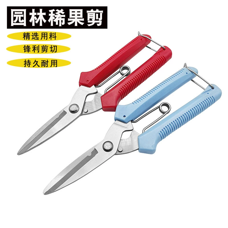 Прямые продажи с фабрики, садовые ножницы из нержавеющей стали, садовые ножницы, садовые ножницы, секаторы, тонкие ножницы для фруктов, секаторы, ножницы для сбора фруктов