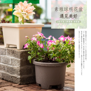 ����˼�A�����ֲ�����N���̨��������ֲ��@ˇ���ϻ�������z