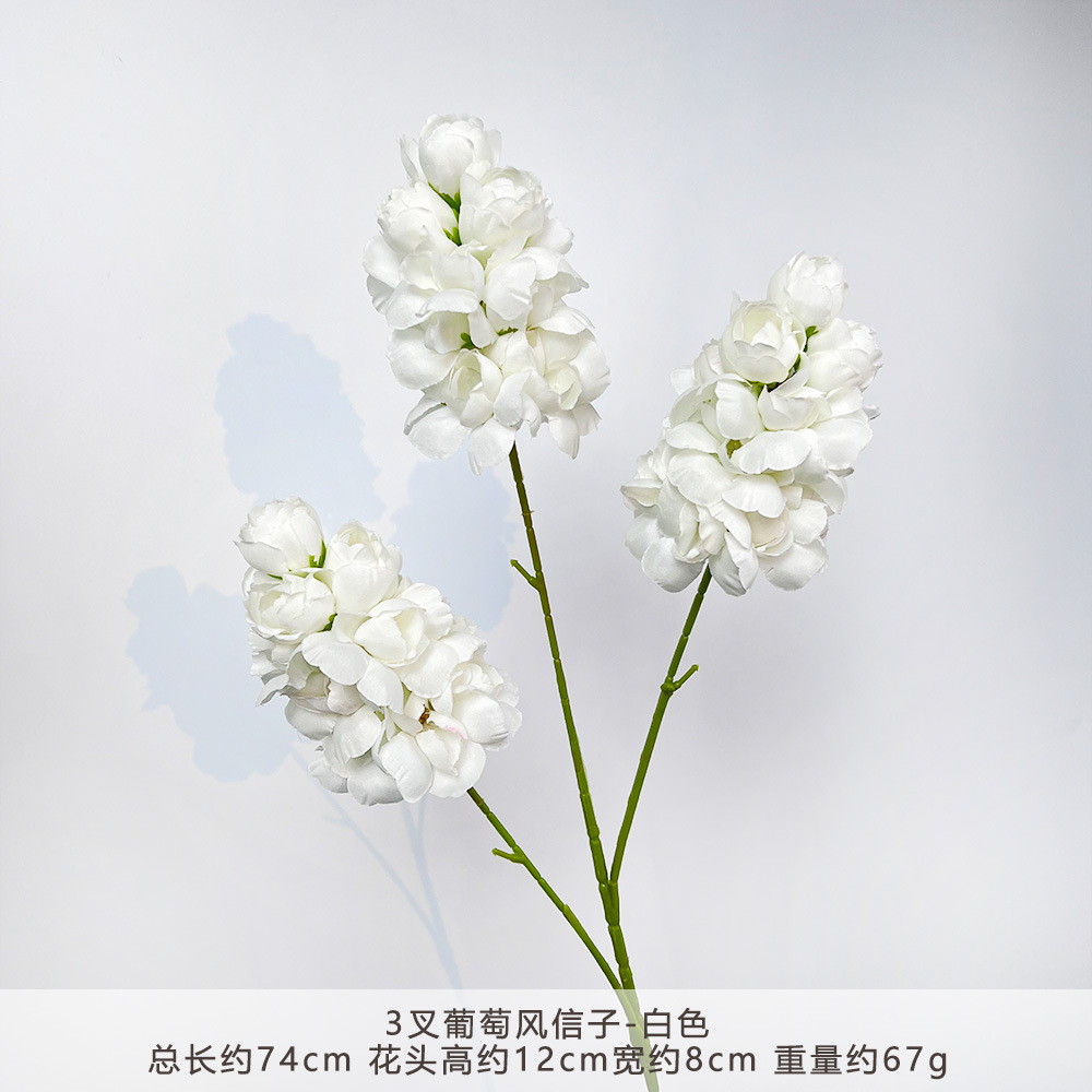 CC-3 ดอกไฮยาซินธ์สีขาวแบบแยกก้าน
