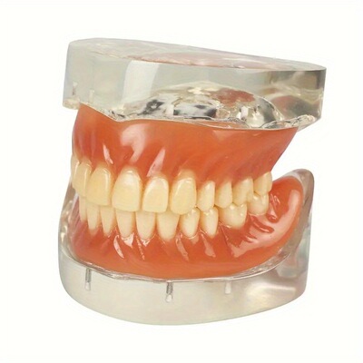 Improve Flexibility Natural Color Dentures Two Packs假牙