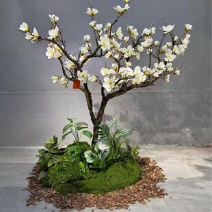 �������m������m���t���m�̈������Ƶ�չ�d���ô��ͼ٘�