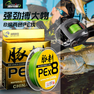 ���X8PE��·���hͶ��ĥ혻����q̖�����~��·��pe����8����ĥ��