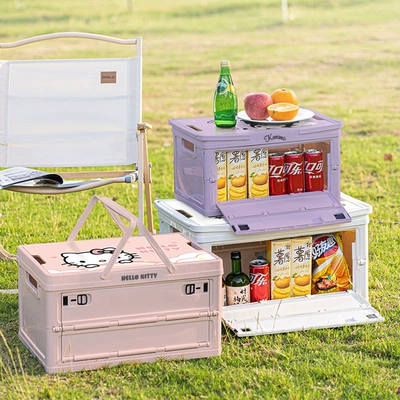 Car storage bag/box – Trunk Storage Box Fx