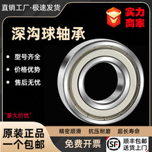 ������6020 6021 6022 6024 6026 6028 6030 6032 6034 6036-ZZ