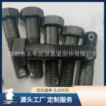 ���������ݗU���N�������^��˨DL /T 764�ߏ���8.8��10.9��12.9