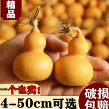 ����С���J���r���J�b����^�ְѼ��������С�ֶ�����