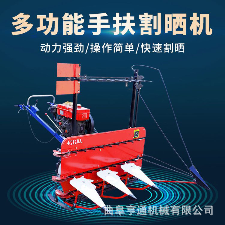 u=1920568966,716552040&