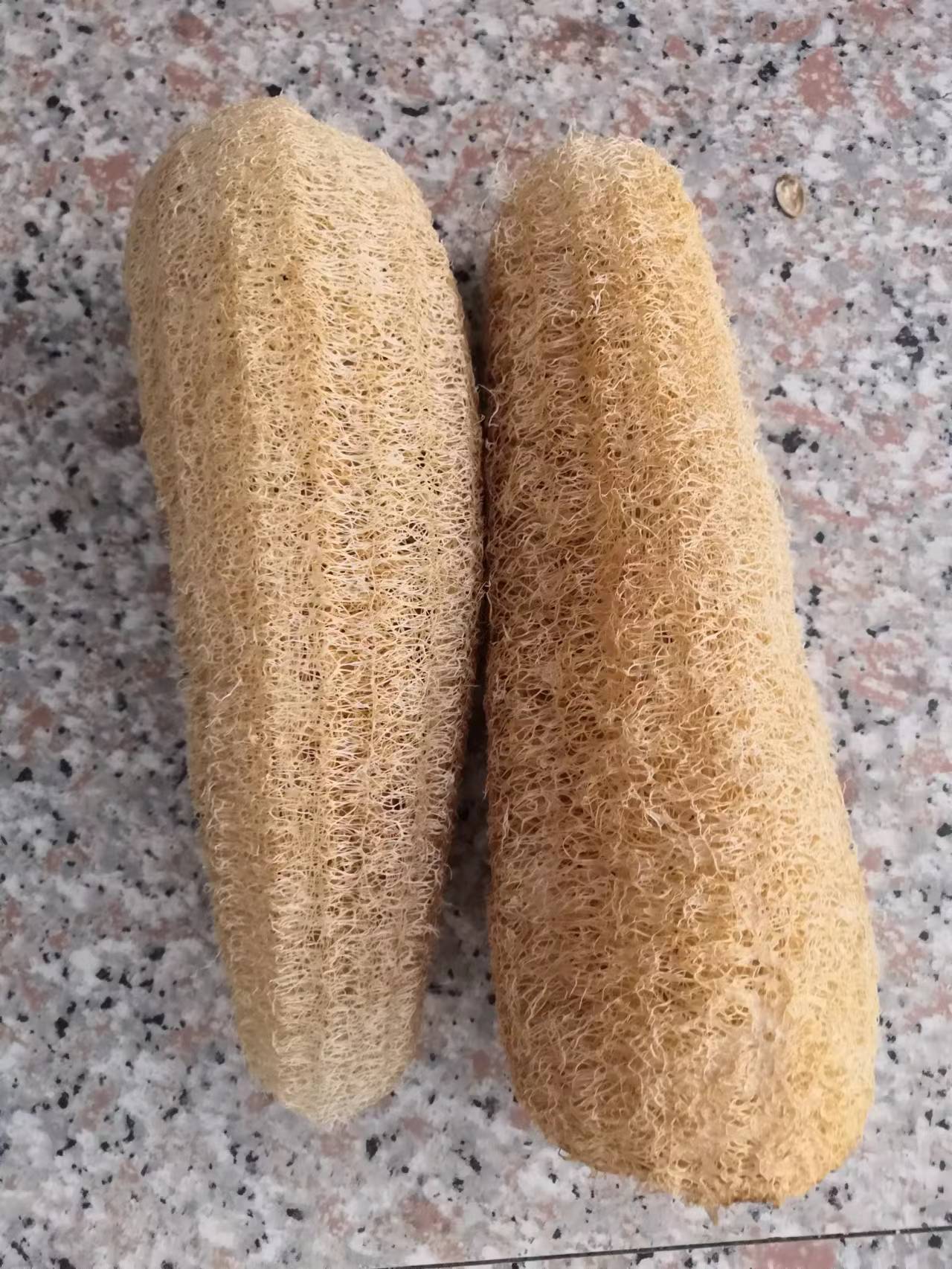 微信图片_20220608084329