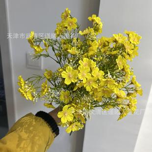���滨���m�M���Ǿ껨��c���ļҾ��������zӰ��@�bٻ��ֹ���