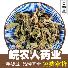 �`���500g������������`������Ѭ���`�����ș�Ĵ�ȫ���l���l
