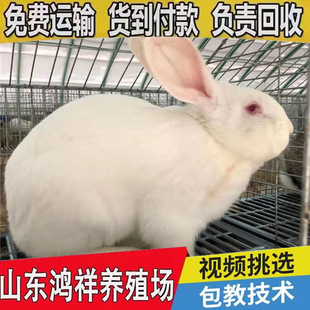 ���w�����Ј�������ô�ӵ̓r���l���ù�ĸһ����؛���T�N���Bֳ