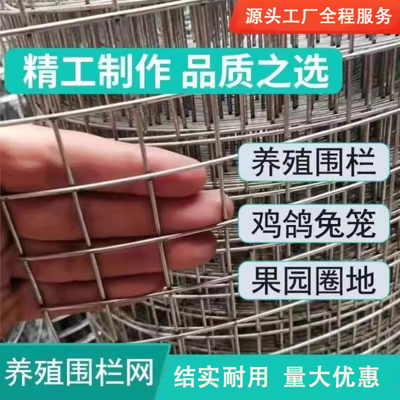 热镀锌铁丝网围栏钢网格养鸡狗笼电焊网防鼠阳台防护养殖网护栏网