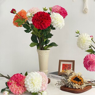 ���滨2�^�������ٻ��Ҿӿ͏d�����b�c�Y�È��������Ĕz����