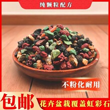 ȫ�w�������ʯ����ֲ�����Nֲ�ʺ�ʯ�����ʯ��ɽ���m���I�B��