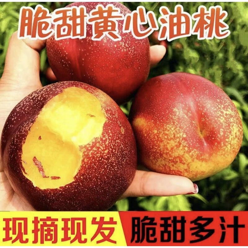 2026 Authentic Shandong Crispy Sweet Yellow-Pulp Nectarines Seasonal Fruit for Pregnant Women, Sour-Sweet Yellow-Fleshed Peaches, Fresh, Free Shipping