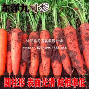 ɢ�b���}���N���S�߲��}���}���t���}���N�Ӵ��t100ˮ���ͺ��}��