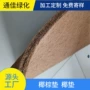浙江生态抗冲种植爬行垫