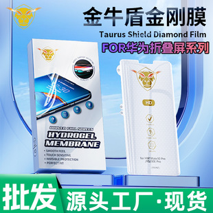 �m���A��Mate X3 Mate XS2��ţ�ܽ���ĤMate X6/XS�ۯB�����oĤ