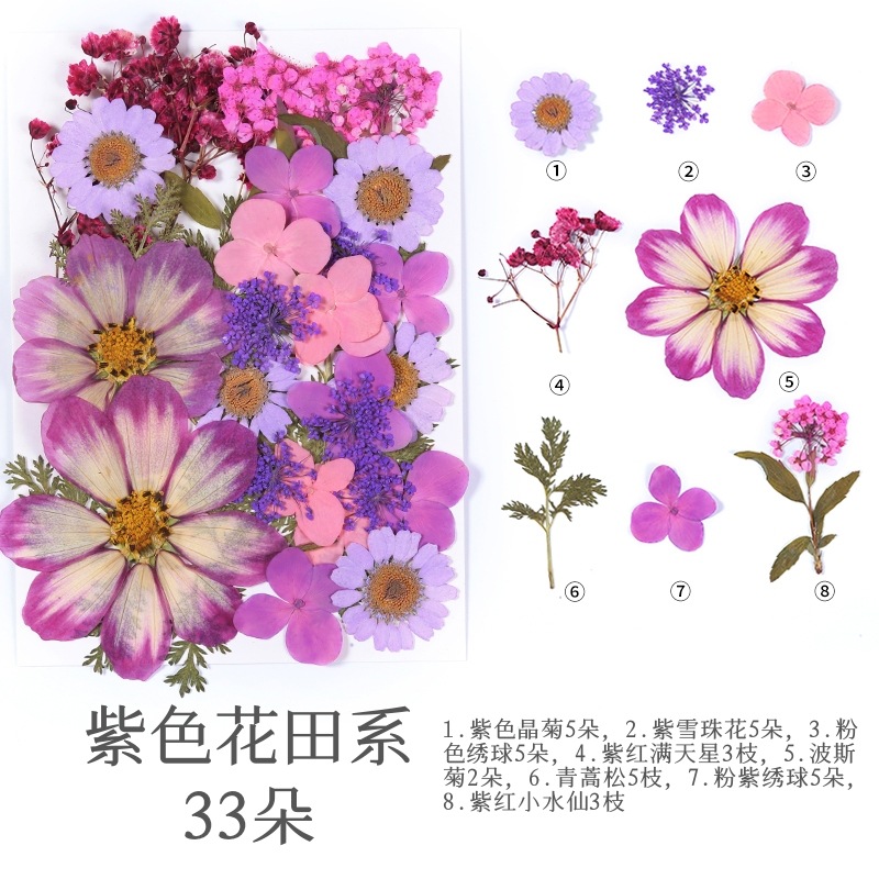 보라색 꽃밭 (33)