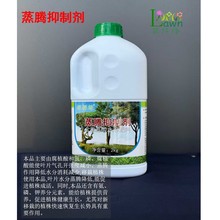 蒸腾抑制剂降低水分消耗减少苗木移栽抗旱保护园艺果林根护