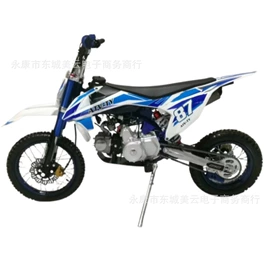 沙滩车;其他摩托车;其他电动车