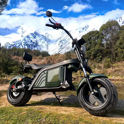 Scooter Electric Scooter – Elektrikli motosikletlər