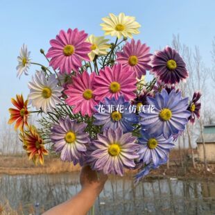 �ָ�ֲ�q�ľշ��滨��˹�ռٻ��͏d�廨�����[����c��ɣ���b�