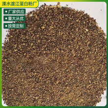 厂家供应菜籽粕菜粕饲料蛋白质36以上国产菜籽粕粉粕样品1公斤