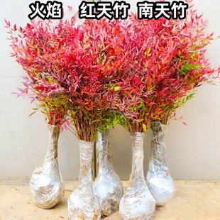 ���l���������񹤳̾G��С�����Ԙ���͏d�Gֲ����ͥԺ����ֲ��