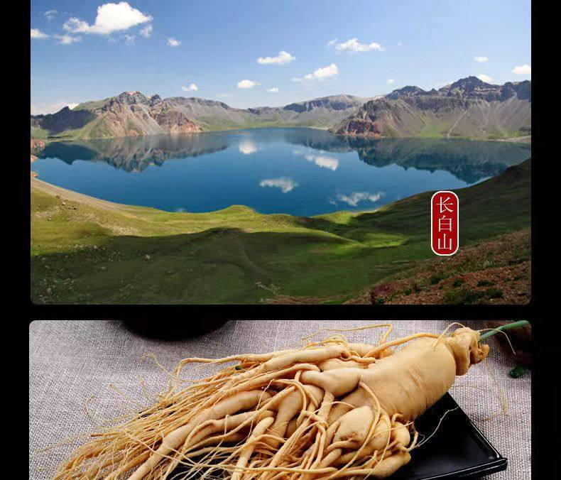 Fresh Changbai Mountain Ginseng Ren Shen Whole Root for Tea Wine and Cooking 350g key features