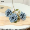 3 head roses