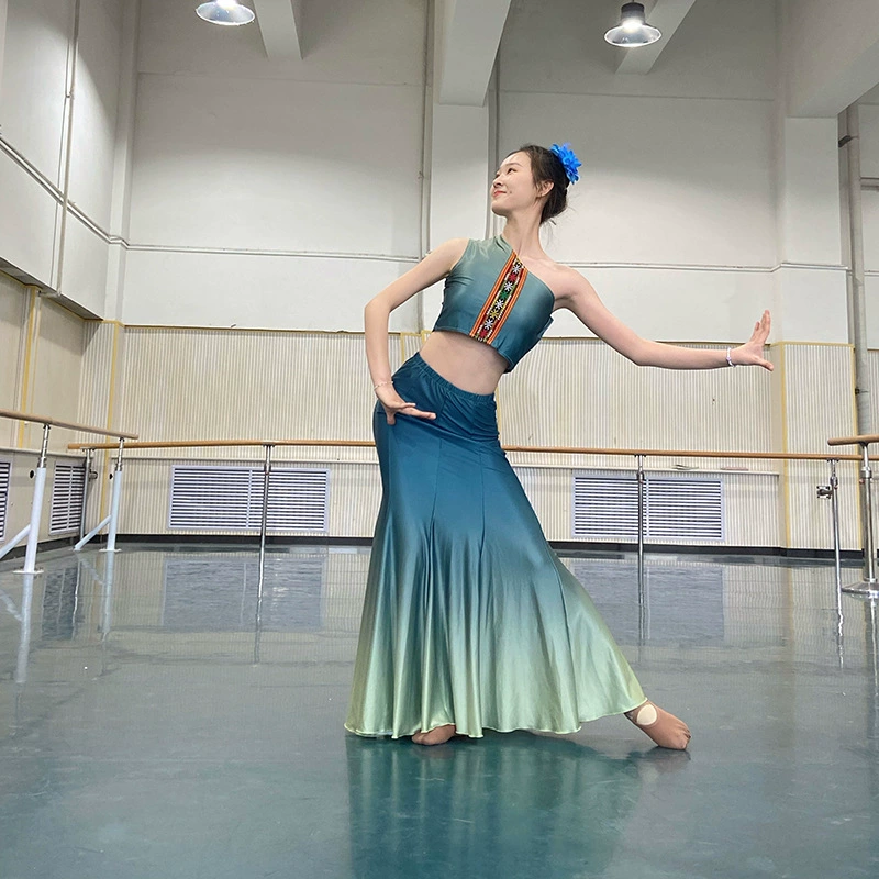 Dai Танцевальная одежда Одежда для художественной экспертизы Одежда для выступлений Женская танцевальная юбка Dai Peacock Практическая юбка Юбка годе