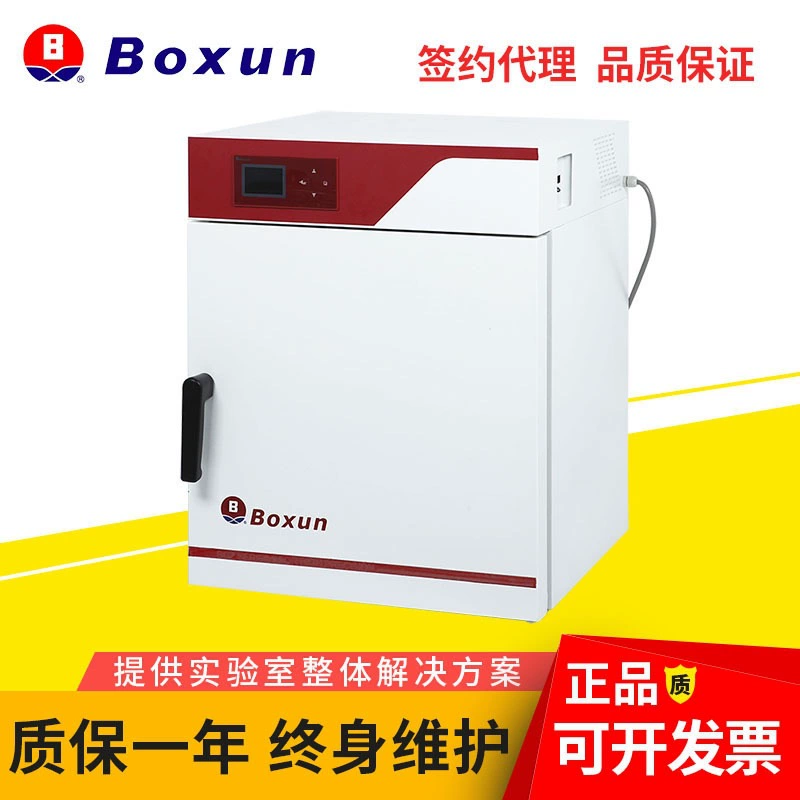 Шанхай BXH-210G Сухой термостерилизатор Лабораторная коробка для дезинфекции горячим воздухом Сушильная печь с постоянной температурой