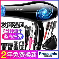 ヘアドライヤー家庭用理髪店ハイパワーヘアサロンヘアドライヤーマイナスイオンヘアケア寮学生ヘア