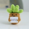 Cards, cactus