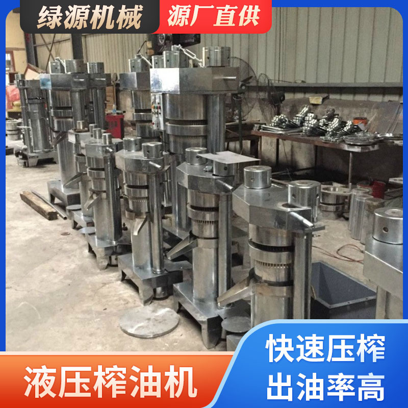 芝麻全自动榨油机 商用立式紫苏松子压油机 亚麻籽液压香油机