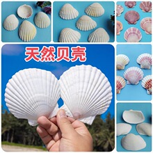 ��Ȼ��ɫؐ��DIY�ֹ������T�f�N�������Ĵ����ؐ�����l