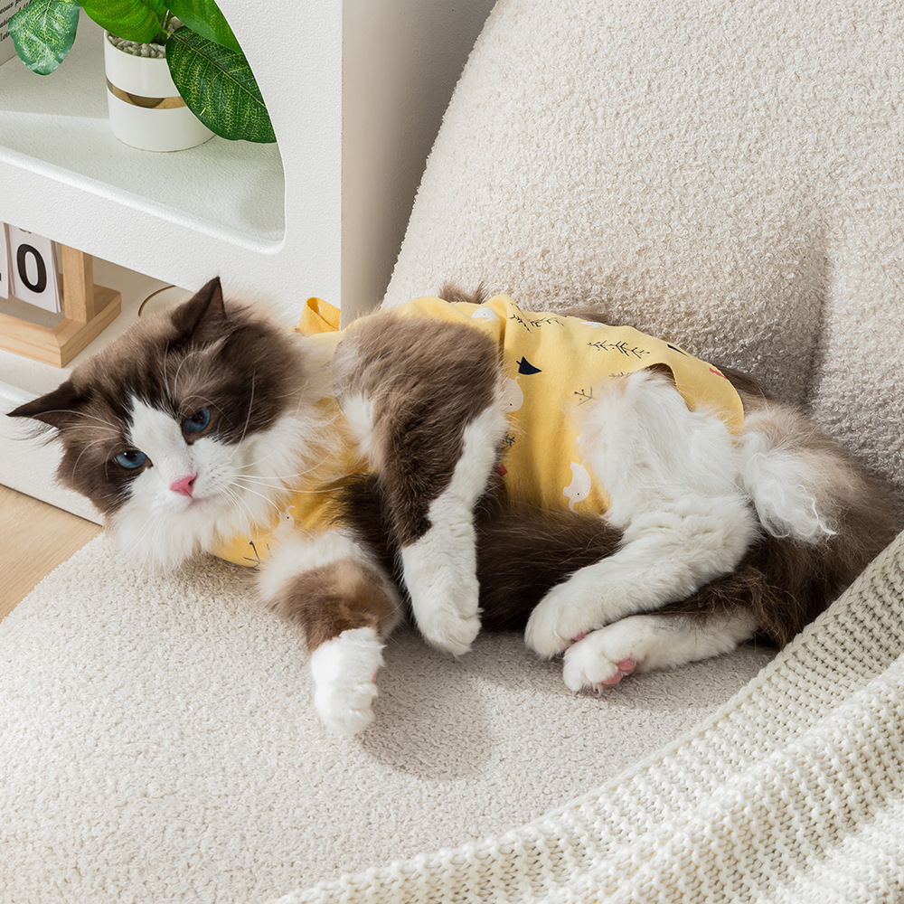 Ropa de recuperación postoperatoria para mascotas, ropa de esterilización para gatos, ropa de destete, ropa fisiológica transpirable, anti-lamidación y anti-mordida