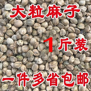 ���w���������Bʳ�B�Z �W�^�Z���Z�����ʂ}��Z500g�����ӻ�����