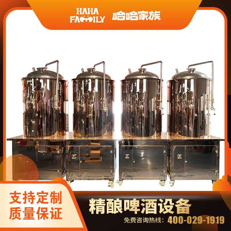 精酿啤酒制作设备 啤酒加工机械 啤酒精酿酿造机器 送技术配方