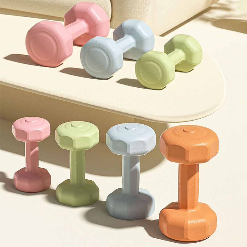 Dumbbell Women's Fitness Equipment Home Slim Belly Barbell Kettlebell Kidsren and Adolescents Female Small Dumbbell 2kg Pair