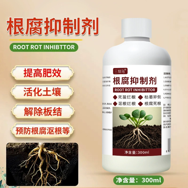 Ингибитор гниения корней птицы Санлин предотвращает внезапное обрушение и гниение корней, гниение основания стебля и гибель рассады, устойчив к болезням, быстро укрепляет корни и очищает почву.