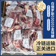 厂家批发白俄罗斯030203金钱腱商用西餐厅牛肉草原散养原切牛肉