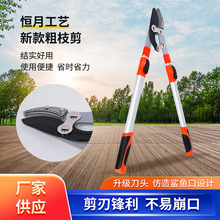 �S�����l��������s��֦�� �������֦��@ˇ���������������