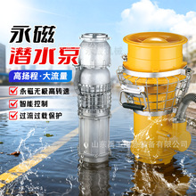 定制永磁变频潜水泵防汛便携式不锈钢高扬程鱼塘养殖农田灌溉