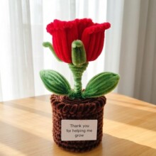 �羳��Ʒ�ֹ�ŤŤ������õ�廨�Y������С�������l����Gֲ�[��