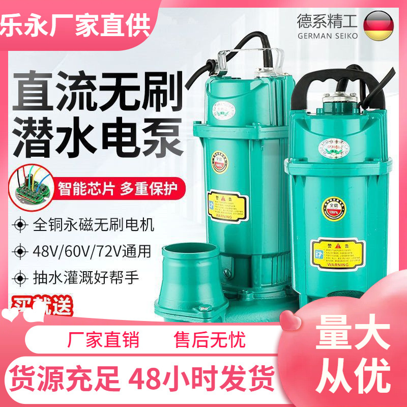 无刷智能直流潜水泵48V60V72V通用大流量电动电瓶车抽水泵抽水机