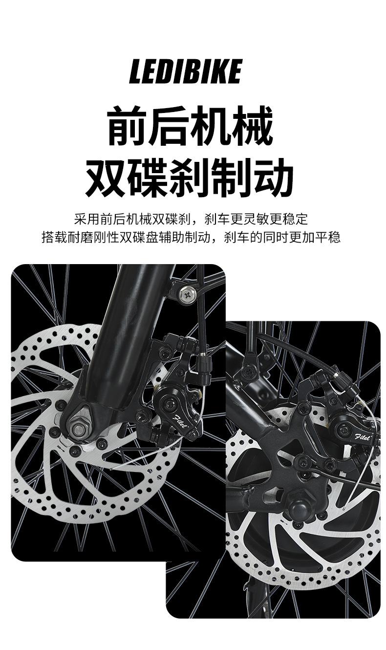 Export Products Batch More Discount, Whole Cabinet Shipping, More Discount, Foldableing Electric Vehicle, Foldableing Fat Tire Vehicle Super73