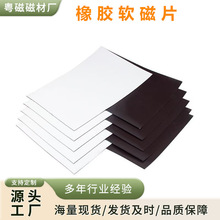 SFzŴFA4zܛNV̌WܛŰ及FN