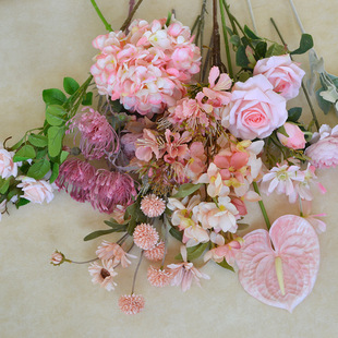 ������ɫϵ���}��ˇ��c��Y���È������·�����c�T�^�������ٻ�